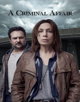 A Criminal Affair Season 1