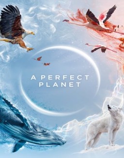 A Perfect Planet online for free