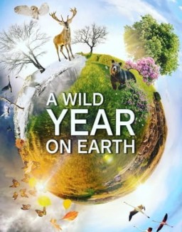 A Wild Year On Earth Season 1