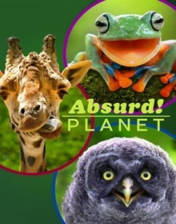 Absurd Planet Season 1