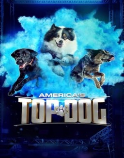 America's Top Dog Season 1