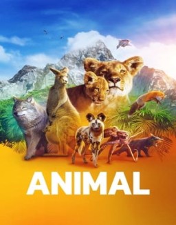 Animal online for free