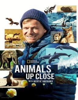 Animals Up Close with Bertie Gregory online