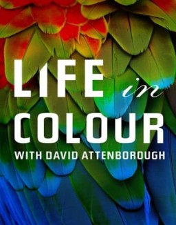 Attenborough's Life in Colour online