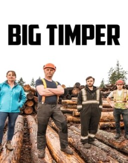 Big Timber online for free