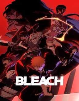 Bleach Season 1