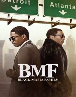 BMF online for free