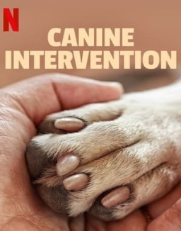 Canine Intervention Season 1