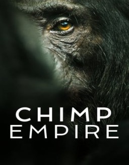 Chimp Empire online