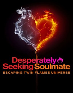 Desperately Seeking Soulmate: Escaping Twin Flames Universe online for free