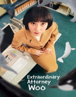 Extraordinary Attorney Woo online for free