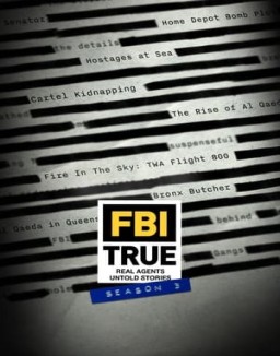 FBI True Season 3