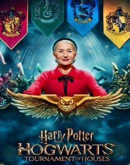 Harry Potter: Hogwarts Tournament of Houses Season 1