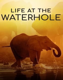 Life at the Waterhole Season 1