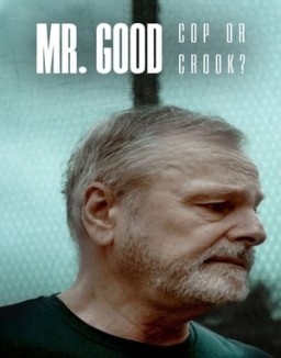 Mr. Good: Cop or Crook? online for free