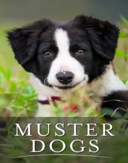 Muster Dogs Season 1