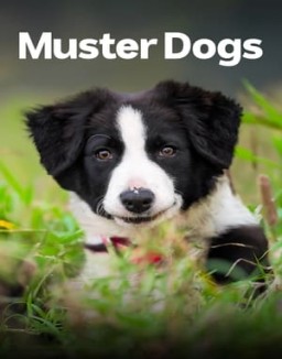 Muster Dogs online for free