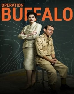 Operation Buffalo online for free