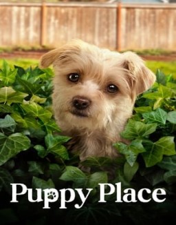 Puppy Place online for free