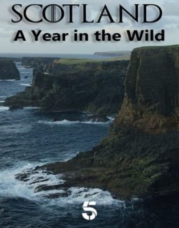 Scotland: A Year In The Wild