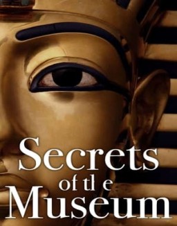 Secrets of the Museum online for free