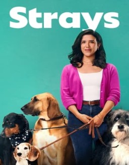 Strays online for free