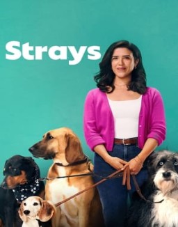 Strays