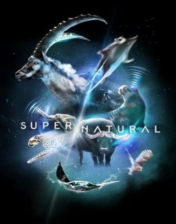 Super/Natural online