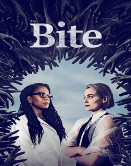 The Bite online For free