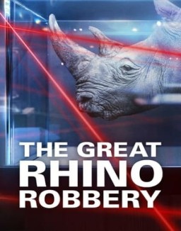 The Great Rhino Robbery