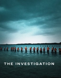 The Investigation online Free