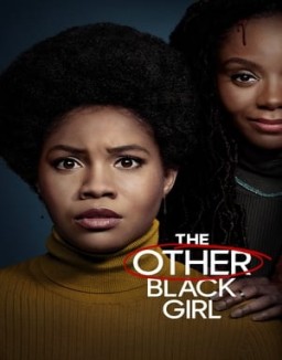 The Other Black Girl Season 1