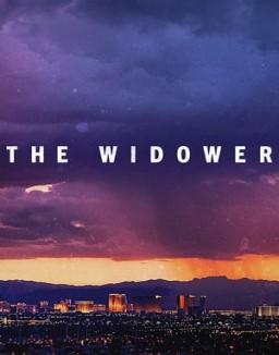 The Widower Season 1