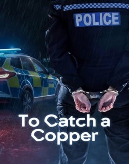 To Catch a Copper online