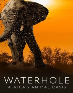 Waterhole: Africa's Animal Oasis online for free