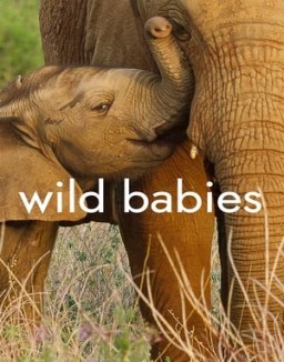 Wild Babies online