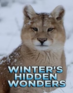 Winter's Hidden Wonders Season 1