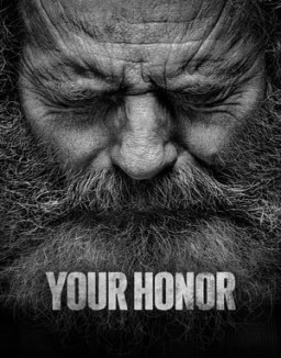 Your Honor Season 1